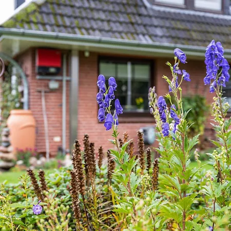 Eggert, Ingelore Und Manfred * Immenstedt (Nordfriesland)
