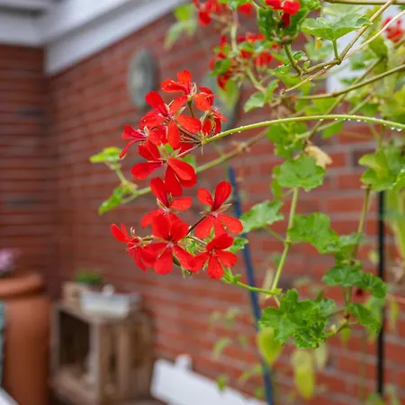 Eggert, Ingelore Und Manfred * Immenstedt (Nordfriesland)